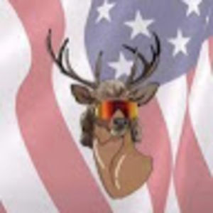 Meet your Posher, Calli